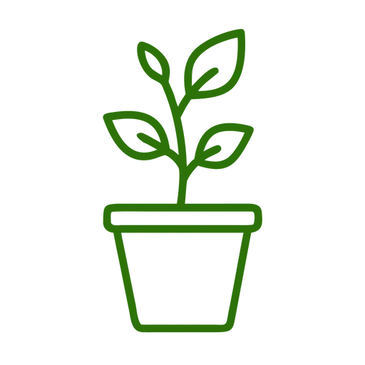 plant-in-the-pot 1